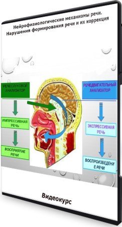 постер к Нейрофизиологические механизмы речи. Нарушения формирования речи и их коррекция (2021) Видеокурс