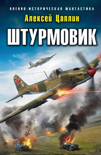 постер к Алексей Цаплин. Штурмовик. 2 книги (2021)