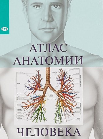 постер к Атлас анатомии человека. Сборник 5 книг