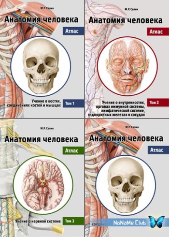 постер к Анатомия человека. Атлас. Том 1-3