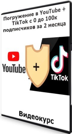 постер к Погружение в YouTube + TikTok с 0 до 100к подписчиков за 2 месяца (2021) Видеокурс