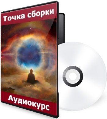 постер к Точка сборки (Аудиокурс)