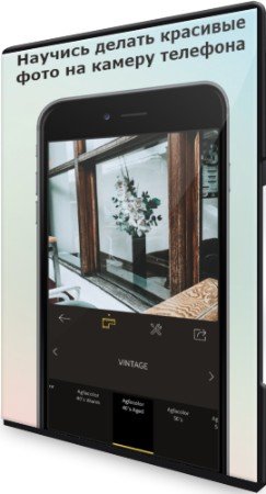 постер к Научись делать красивые фото на камеру телефона (2022) Видеокурс