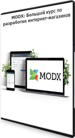 постер к MODX: Большой курс по разработке интернет-магазинов (2022) PCRec