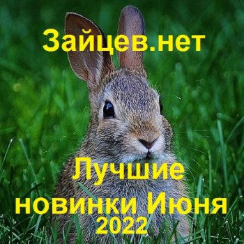 постер к Зайцев.нет: Лучшие новинки Июня (2022) MP3