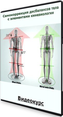 постер к Самокоррекция дисбалансов тела с элементами кинезиологии (2022) Видеокурс