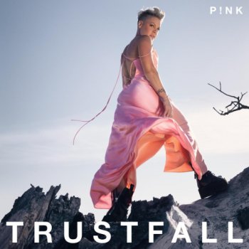 постер к P!nk - TRUSTFALL (2023) MP3