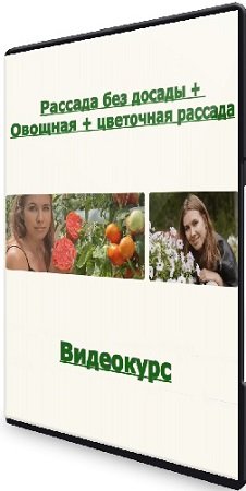 постер к Рассада без досады + Овощная + цветочная рассада (Анна Акинина) (2023) Видеокурс