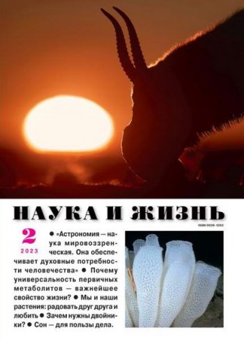 постер к Наука и жизнь №2 (февраль 2023)