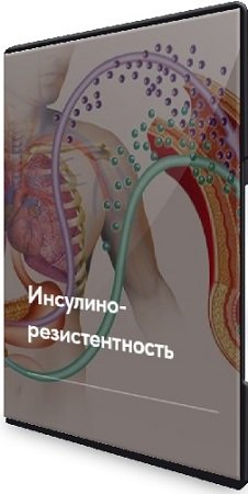 постер к Елена Ержанова - Лечебный протокол "Инсулинорезистентность" (2023) CAMRip