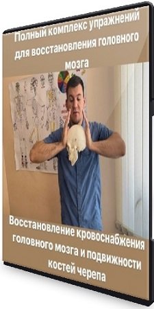 постер к Антон Алексеев - Восстановление кровоснабжения мозга и подвижности костей черепа (2023) WEBRip