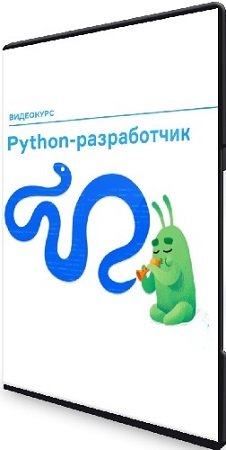 постер к Слёрм - Python-разработчик (Леонид Крутовский) (2022) Видеокурс