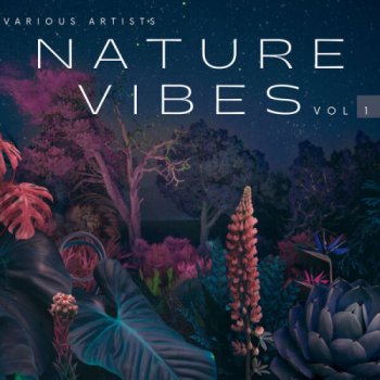 постер к Nature Vibes Vol. 1-4 (2023) MP3