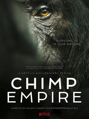 постер к Империя шимпанзе (1 сезон) / Chimp Empire (2023) WEB-DLRip