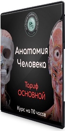 постер к Эдгар Кафаров - Анатомия человека. Тариф Основной (2023) Видеокурс