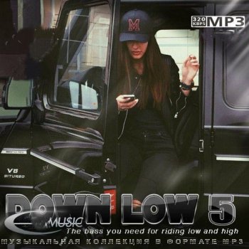 постер к DOWN LOW 5 (2024) MP3