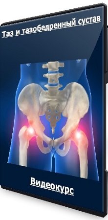 постер к Дмитрий Горковский, Мария Осокина - Таз и тазобедренный сустав (2022) Видеокурс
