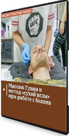 постер к Александр Сокун - Массаж гуаша и метод «сухой иглы» при работе с болями (2023) Мастер-класс