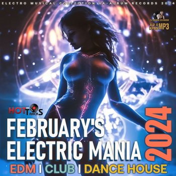 постер к Februarys Electric Mania (2024) MP3