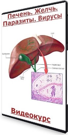 постер к Кристина Михасёнок - Печень. Желчь. Паразиты. Вирусы (2024) Видеокурс