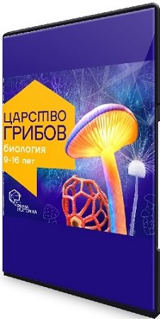 постер к Владимир Гмошинский - Царство грибов. Курс о самых необычных организмах на планете (2023) CAMRip