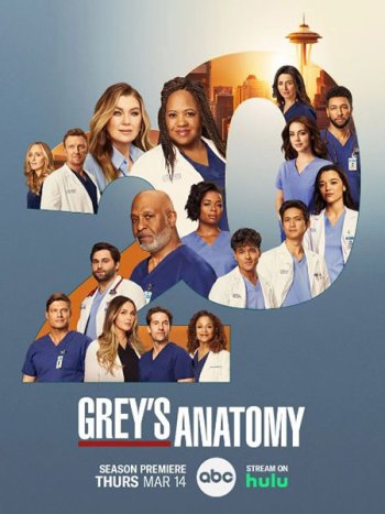 постер к Анатомия Грей / Анатомия страсти (20 сезон) / Greys Anatomy (2024) WEB-DLRip