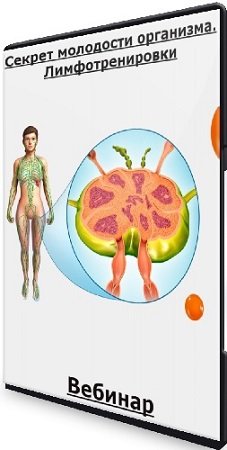 постер к [ShtDY] Секрет молодости организма. Лимфотренировки (2024) Вебинар