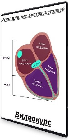 постер к Мария Чайковская - Управление экстрасистолией (2024) Видеокурс