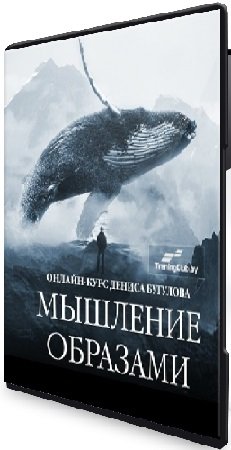 постер к Сергей Володько, Денис Бугулов - Мышление Образами (2024) Видеокурс