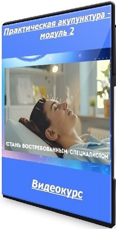 постер к [Тамара Хестанова, Станислав Сидоров] Практическая акупунктура - модуль 2 (2024) Видеокурс