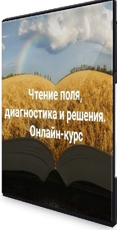 постер к Елена Веселаго и др. Чтение поля, диагностика и решения. Тариф Апгрейд (2024) Видеокурс