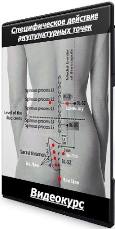 постер к Bан Вэй - Специфическое действие акупунктурных точек (Видеокурс)