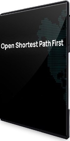 постер к [n4e.ru] Open Shortest Path First (2024) Видеокурс