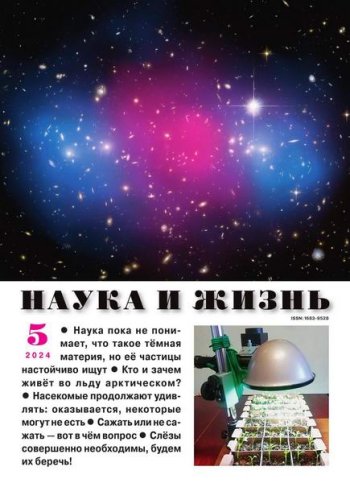 постер к Наука и жизнь №5 (май 2024)