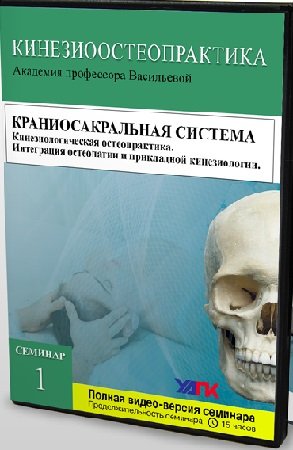 постер к Прикладная Кинезиология - Семинар №1. Краниосакральная система (2020) CAMRip