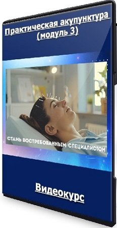 постер к Тамара Хестанова, Станислав Сидоров - Практическая акупунктура (модуль 3) (2024) Видеокурс