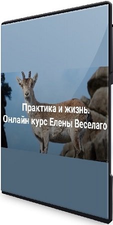 постер к Елена Веселаго - Практика и жизнь [1 ступень] (2024) Видеокурс