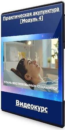 постер к Тамара Хестанова, Станислав Сидоров - Практическая акупунктура [Модуль 4] (2024) Видеокурс