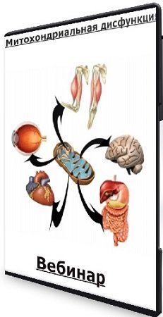 постер к Митохондриальная дисфункция (Анна Читанава) (2024) Вебинар