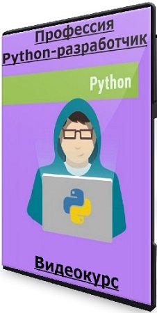 постер к Профессия Python-разработчик (Илья Фофанов) (2024) Видеокурс