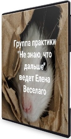 постер к Елена Веселаго - Не знаю, что дальше (2024) Вебинар