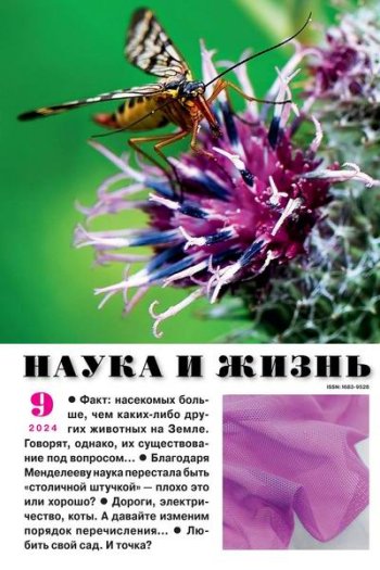 постер к Наука и жизнь №9-10 (сентябрь-октябрь 2024)