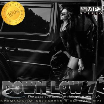 постер к DOWN LOW 7 (2024) MP3