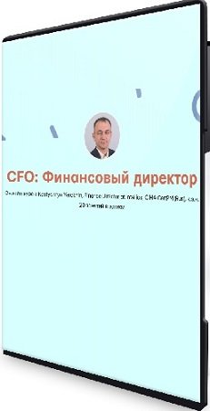 постер к Константин Ерохин - CFO: Финансовый директор (2020) Видеокурс