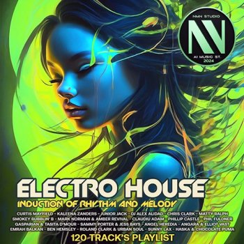 постер к Electro House Induction Of Rhythms and Melodi (2024) MP3