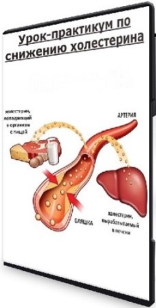 постер к Урок-практикум по снижению холестерина (Анна Павлычева) (2025) PCRec