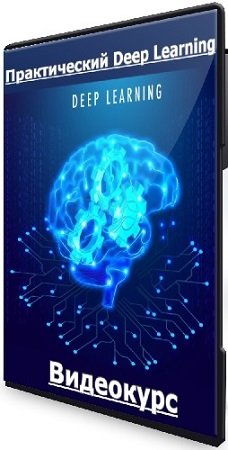 постер к Практический Deep Learning (stepik) (2025) Видеокурс