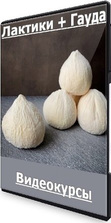 постер к СыроварКрым - Лактики + Гауда (2024) Видеокурсы