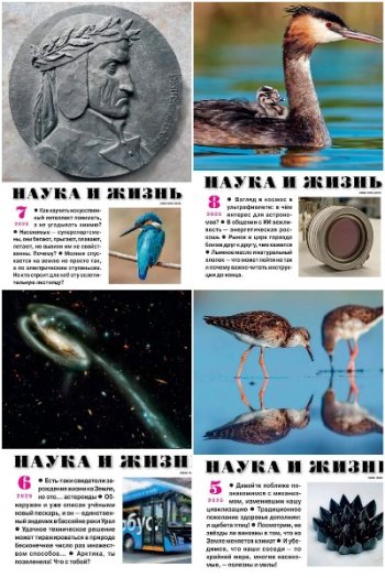 постер к Наука и жизнь №5-8 (май-август 2025)